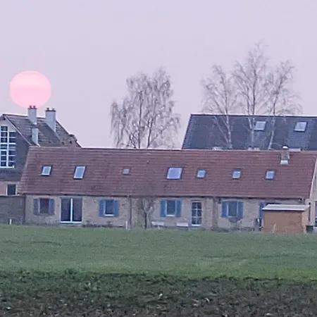 Funke9 Sternenmeer *
